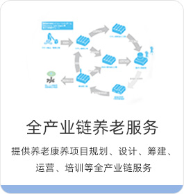 全產(chǎn)業(yè)鏈養(yǎng)老服務(wù) 集團(tuán)集地產(chǎn)、醫(yī)療、照護(hù)、銷(xiāo)售等多產(chǎn)業(yè)聯(lián)動(dòng)